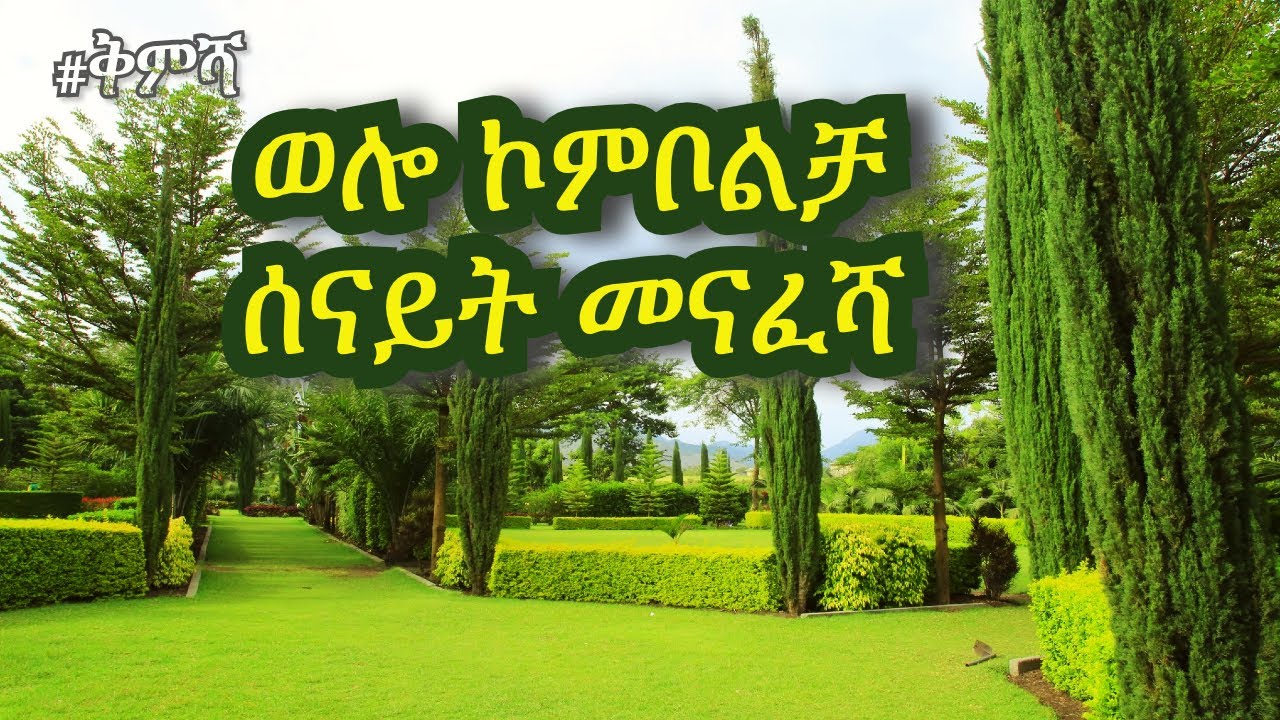 #ቅምሻ ኮምቦልቻ ሰናይት መናፈሻ (ግሪን መስክ)