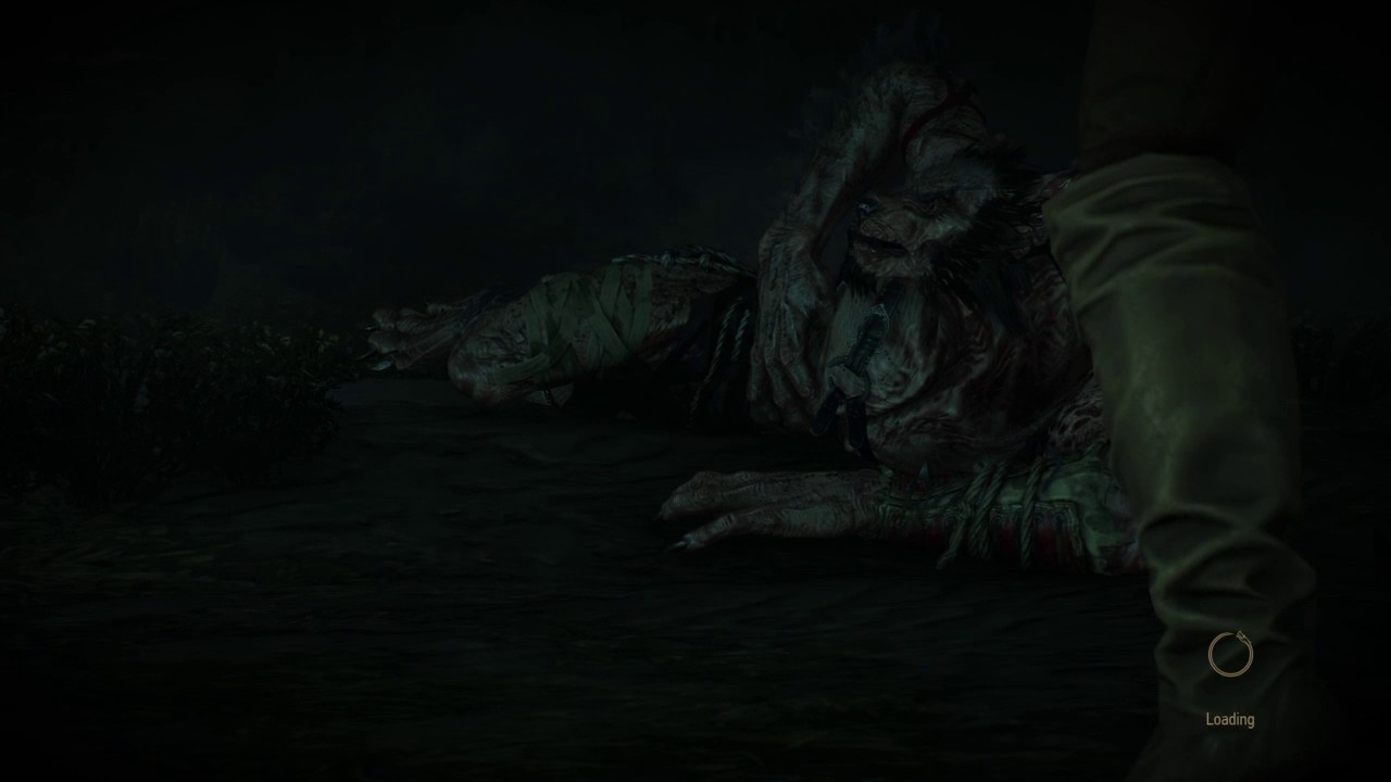 The Witcher 3 Side Quest     | Wild at heart,Boss/Ending