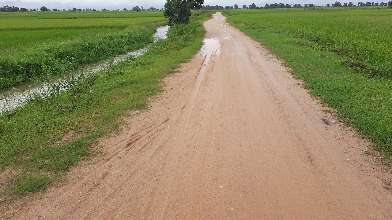 Nature Ride Short Video | Green Nature 4K |  Nature Drive Along Canal |  Scenic Nature Drive