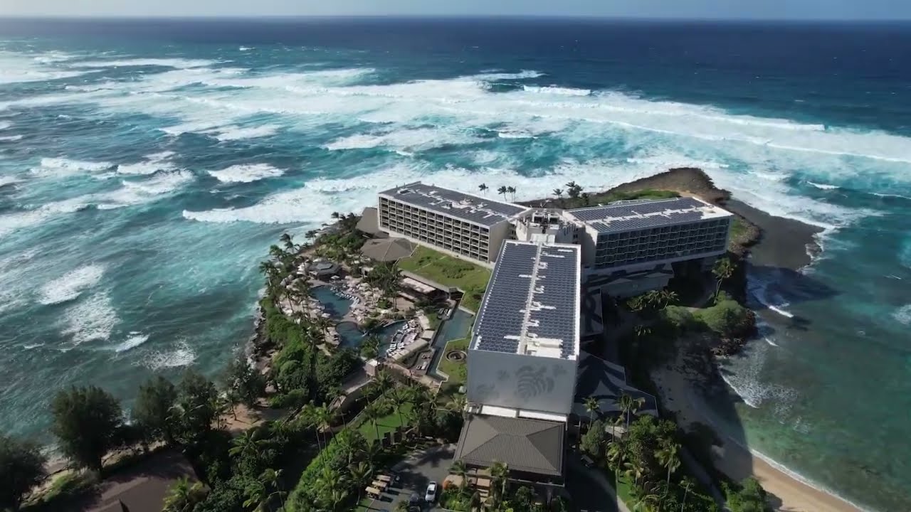 2026 01 010 Oahu Turtle Bay