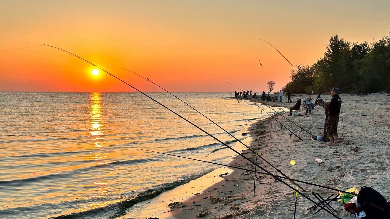 10 КГ ЗА 3 ЧАСА!! ЛОВЯТ ВСЕ КОМУ НЕ ЛЕНЬ. НА РЕКЕ НЕГДЕ СТАТЬ. ОЧЕНЬ АКТИВНАЯ РЫБАЛКА