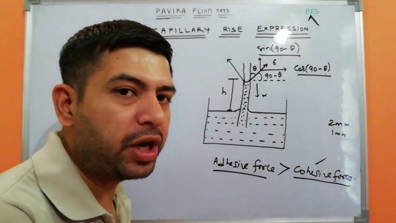 Capillary rise or fall due to surface tension