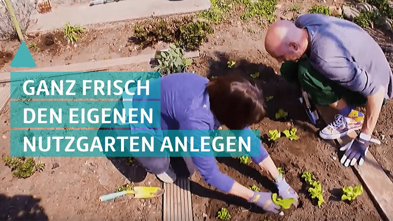 Garten: Nutzgarten und Selbstversorgergarten anlegen - Salat und Gemüse frisch auf den Tisch