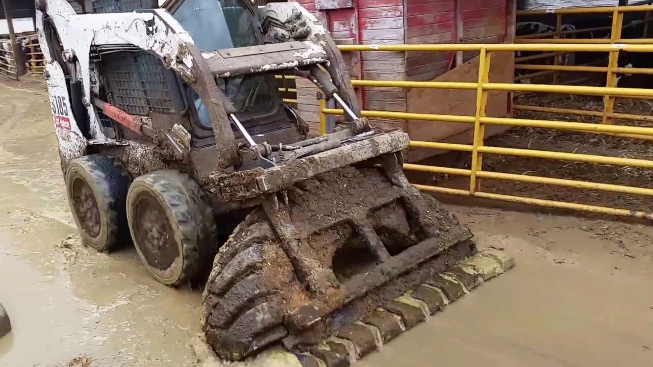 How to clean out the steers