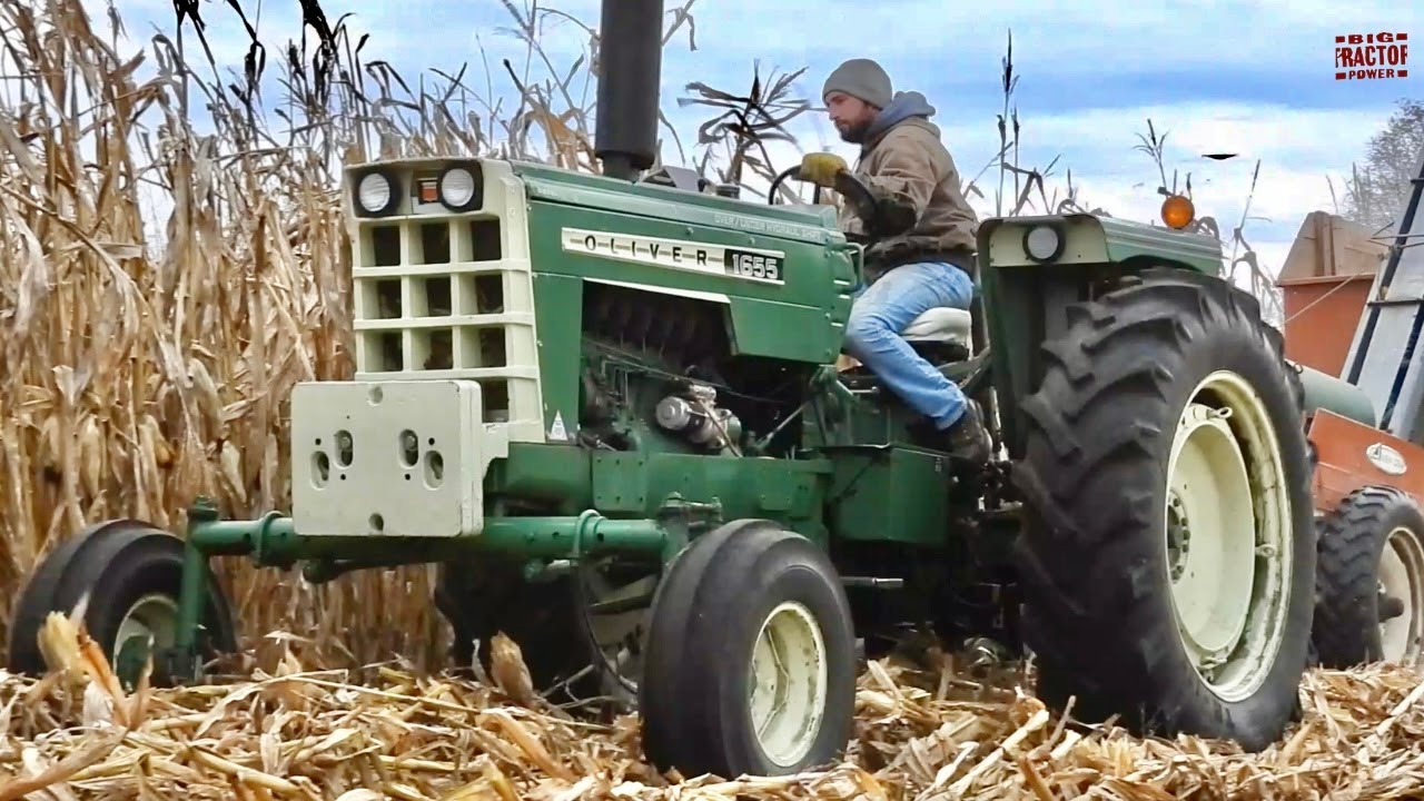 OLIVER 1655 Tractor Harvesting Corn