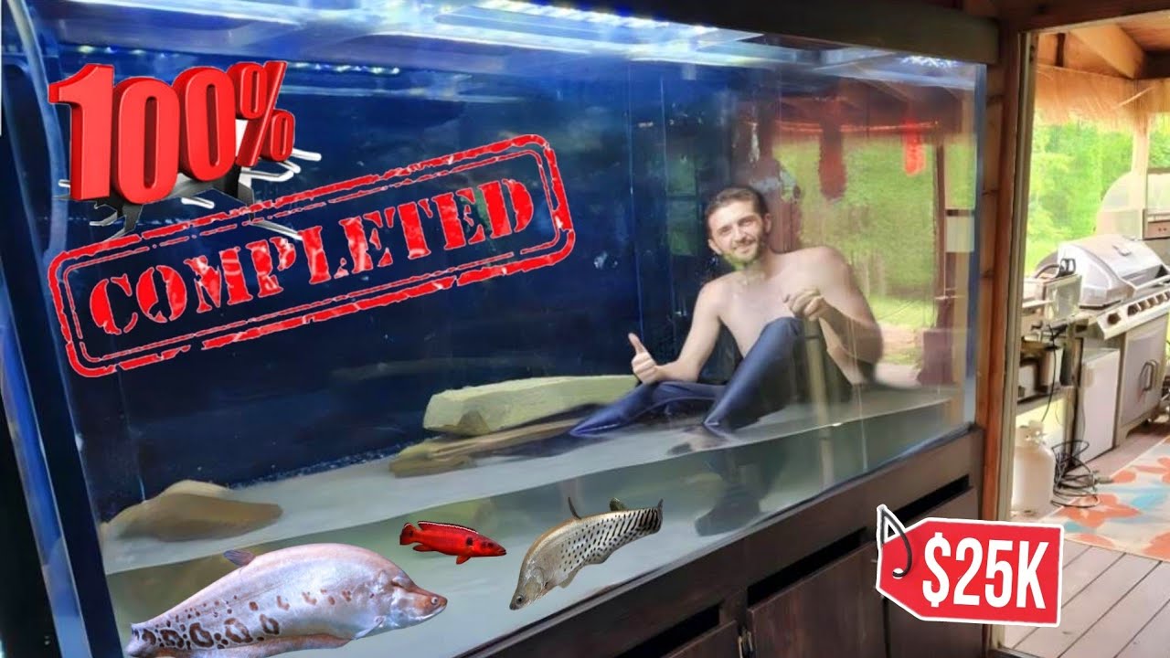 Giant Fish Tank Project Gets NEW Fish!!!