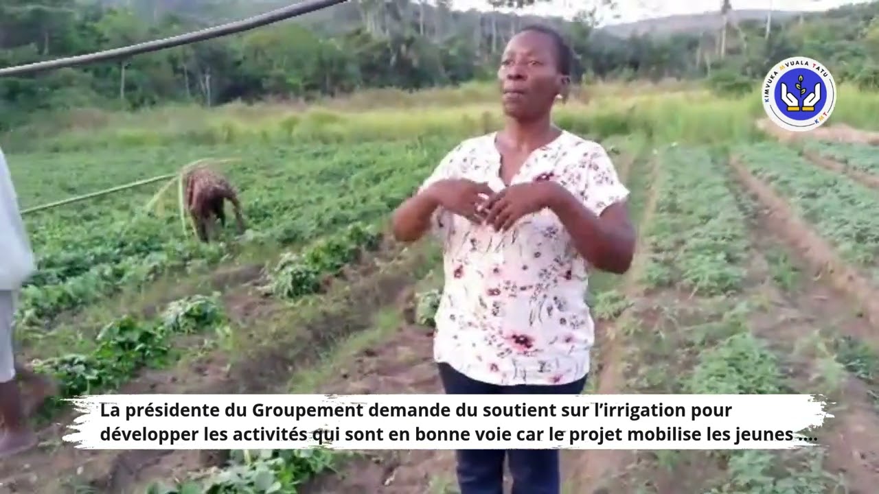 Récolte des épinards à la ferme Bimpatu 🌿 | De la terre au marché local
