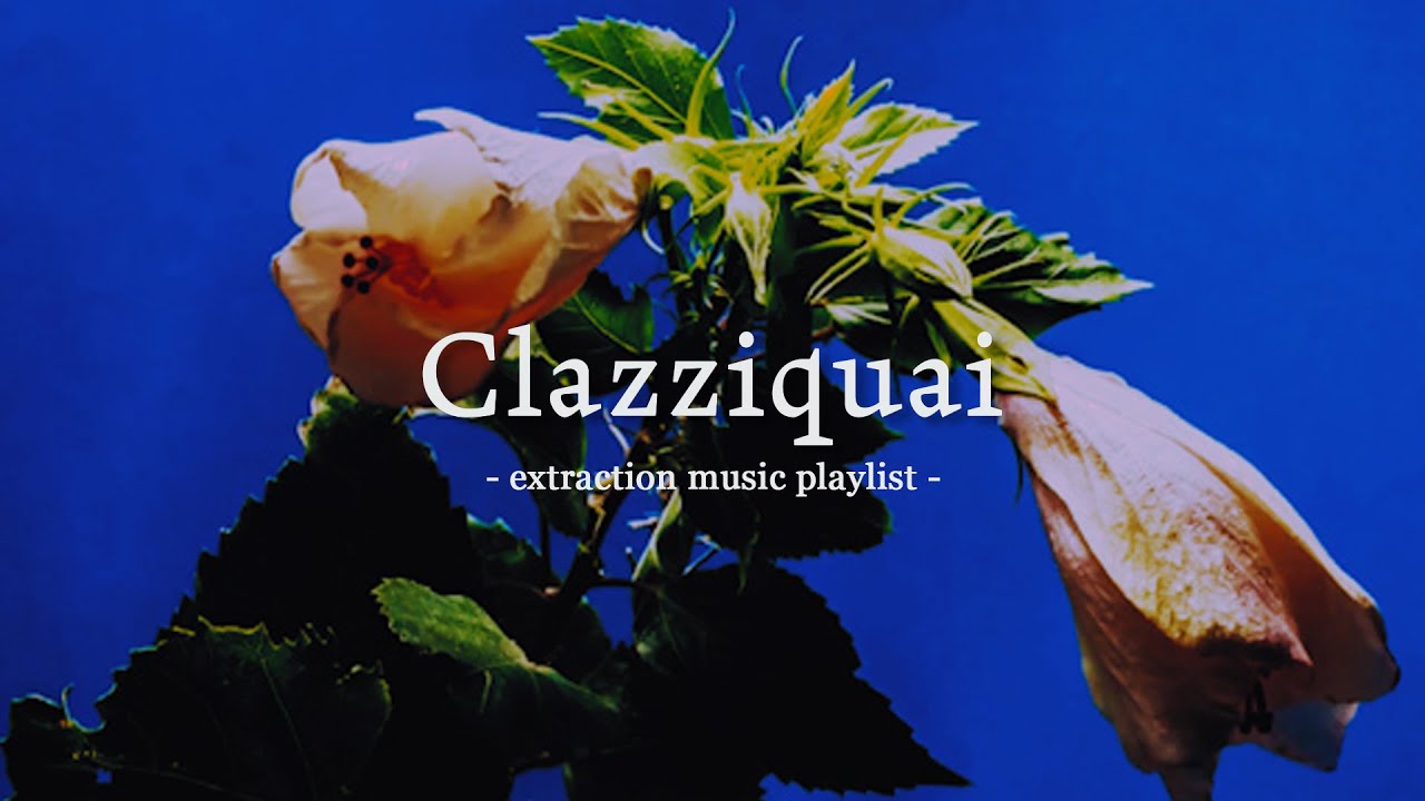고농축 클래지콰이 플레이리스트 | Clazziquai playlist