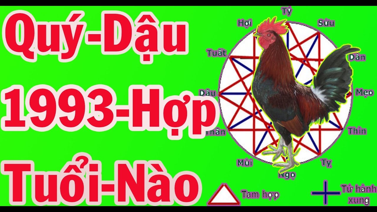 Tuổi Quý Dậu 1993 Hợp Với Tuổi Nào Trong Làm Ăn Và Hôn Nhân