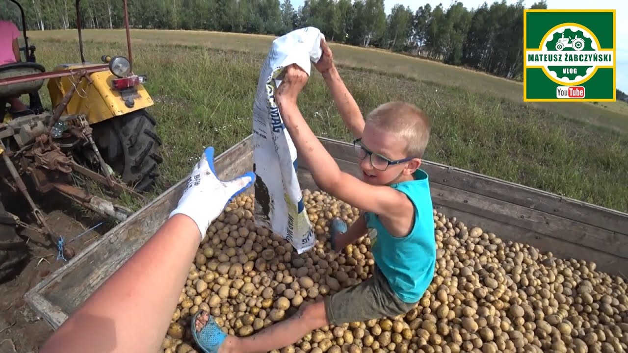 WYKOPKI NA WESOŁO ! 😁