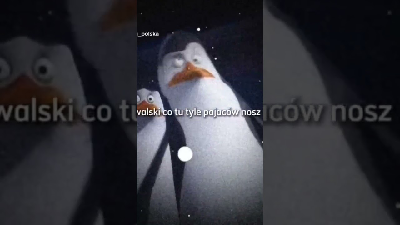 Kowalski 😂 #youtube #shorts