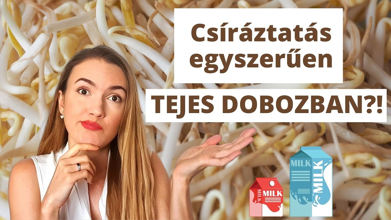 Csíráztatás otthon egyszerűen + mungóbabcsíra hatása és előnyei