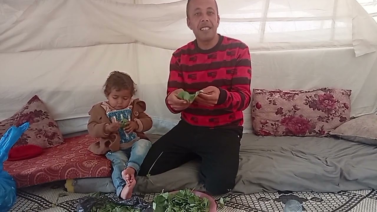 عشبه غريبه 😄😄😄😄أستحلفكم بالله مشاهده الفيديو