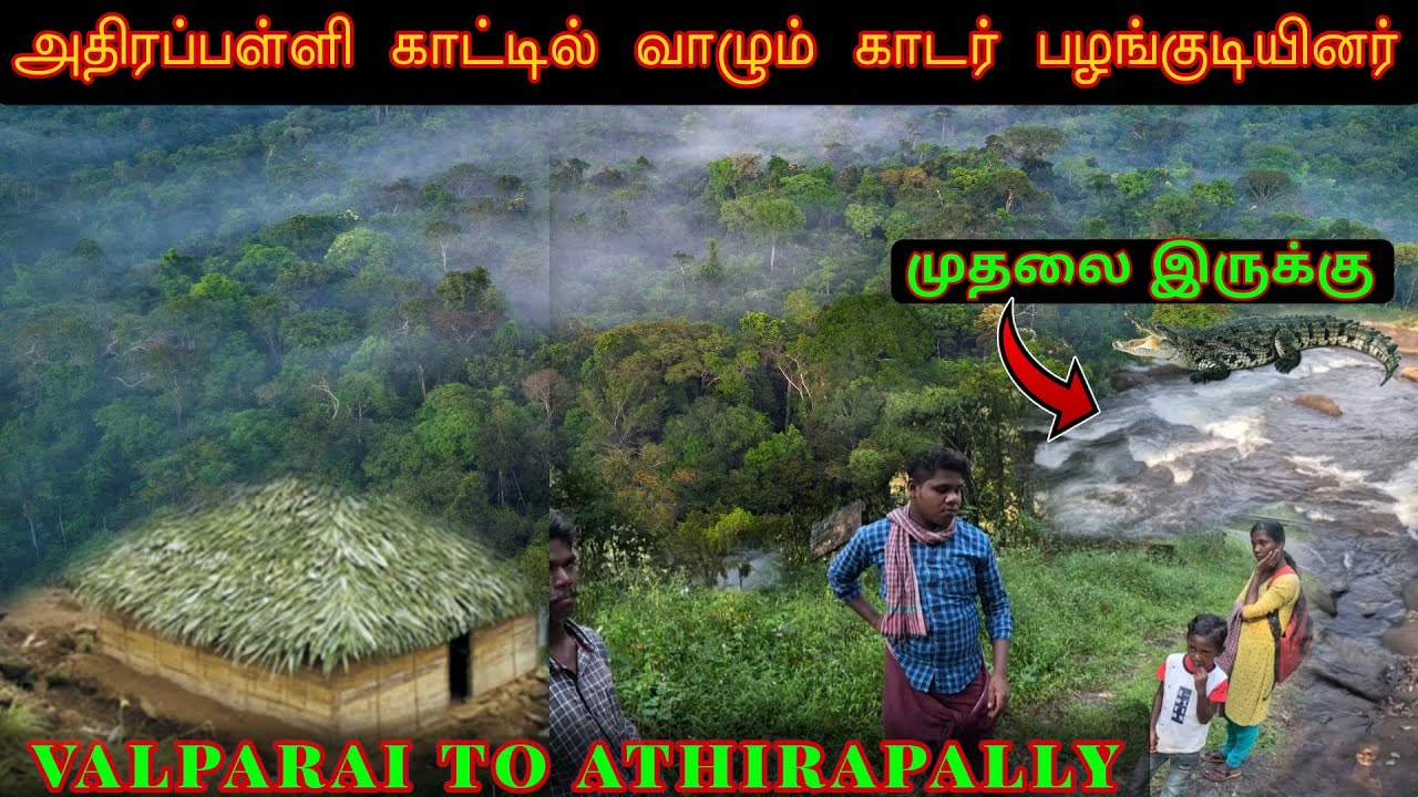 அதிரப்பள்ளி காட்டில் வாழும் காடர் பழங்குடியினர்|athirapally tribes|valparai to athirapally route🐘