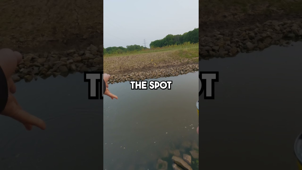 No Way this Spot Holds Fish