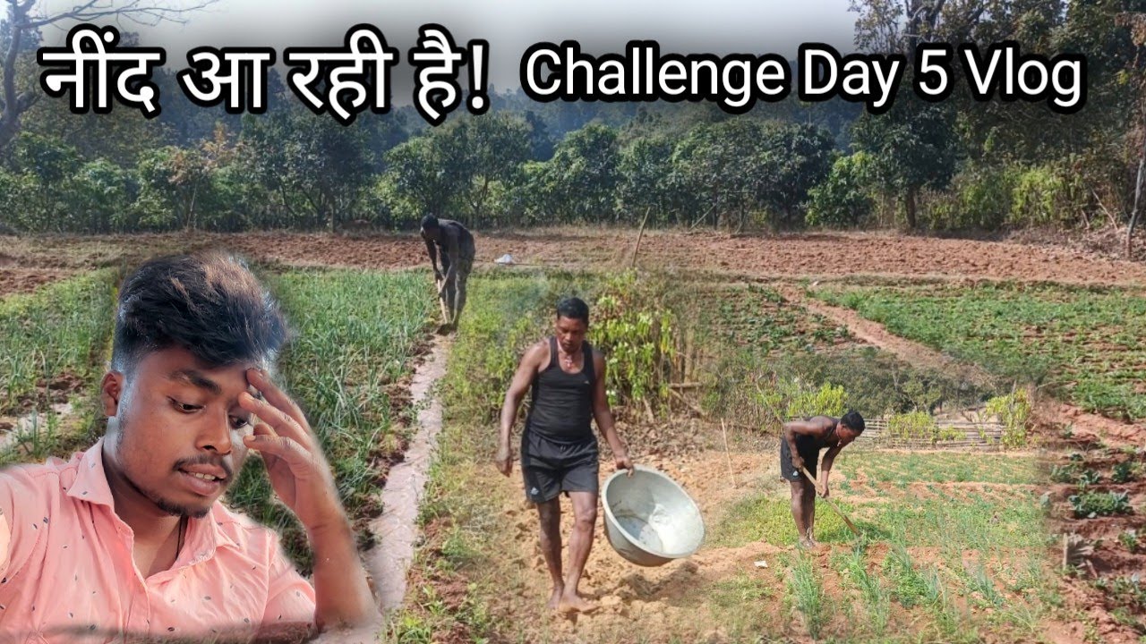 चैलेंज Day 5 😴 | बैल चराते-चराते नींद आ गई | गांव की सुबह | @Gkvlogs2g 