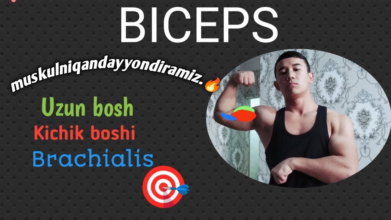 Biceps muskuli #1 : anatomiyasi  va muskulni yondirish🔥 texnikasi. (24.12.2024.)