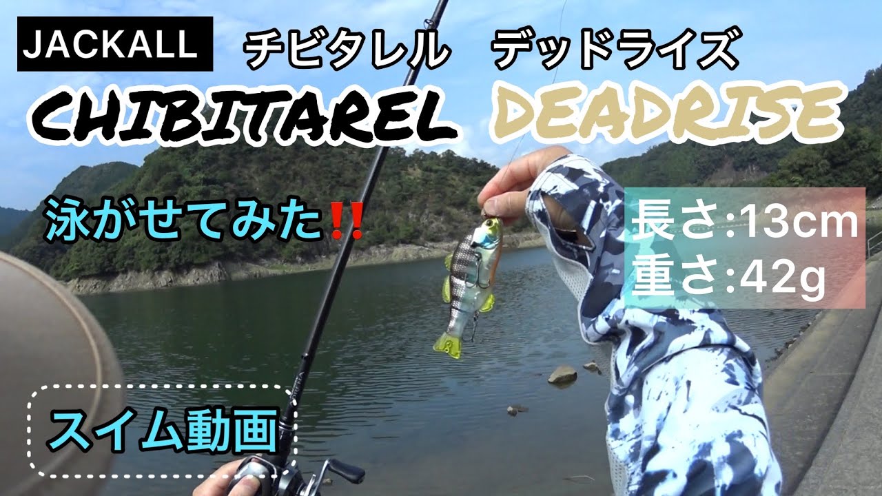 JACKALL  CHIBITAREL DEADRISE／チビタレルデッドライズ泳がせてみた！スイム動画　参考に…