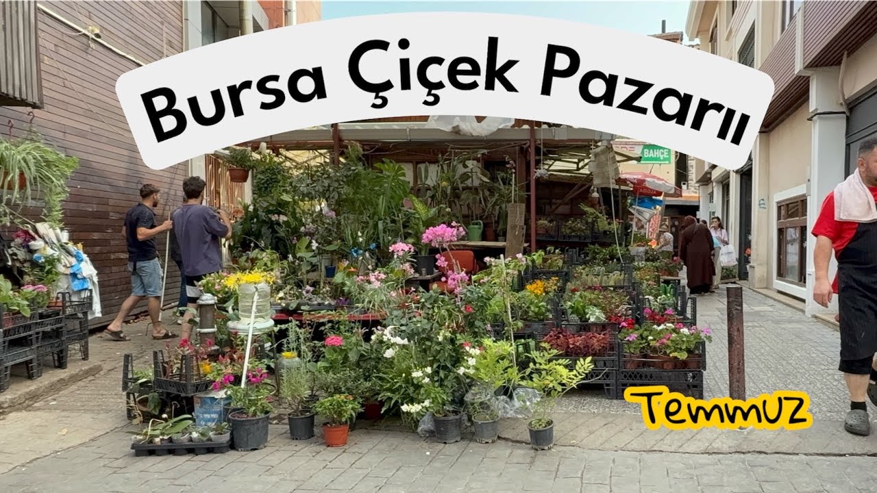 Bursa Çiçek Pazarını Geziyorum 