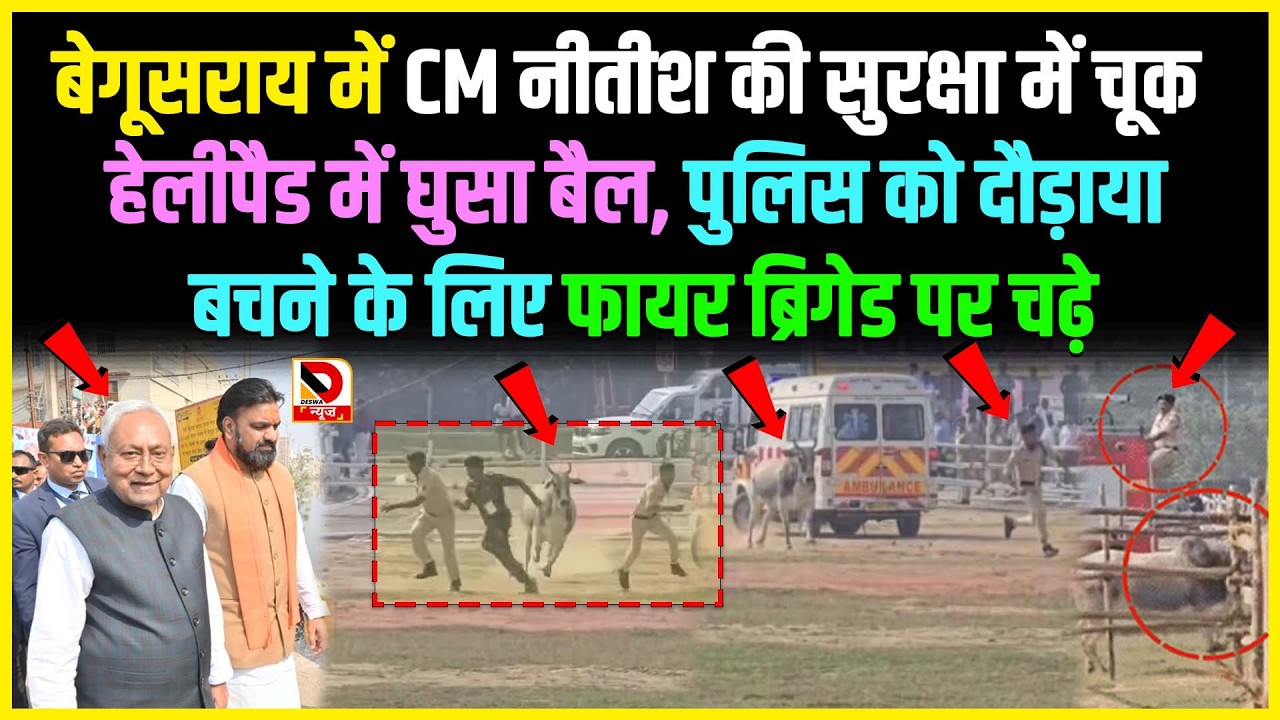 Begusarai में CM Nitish की सुरक्षा में चूक हेलीपैड में घुसा बैल, Police को दौड़ाया बचने के लिए
