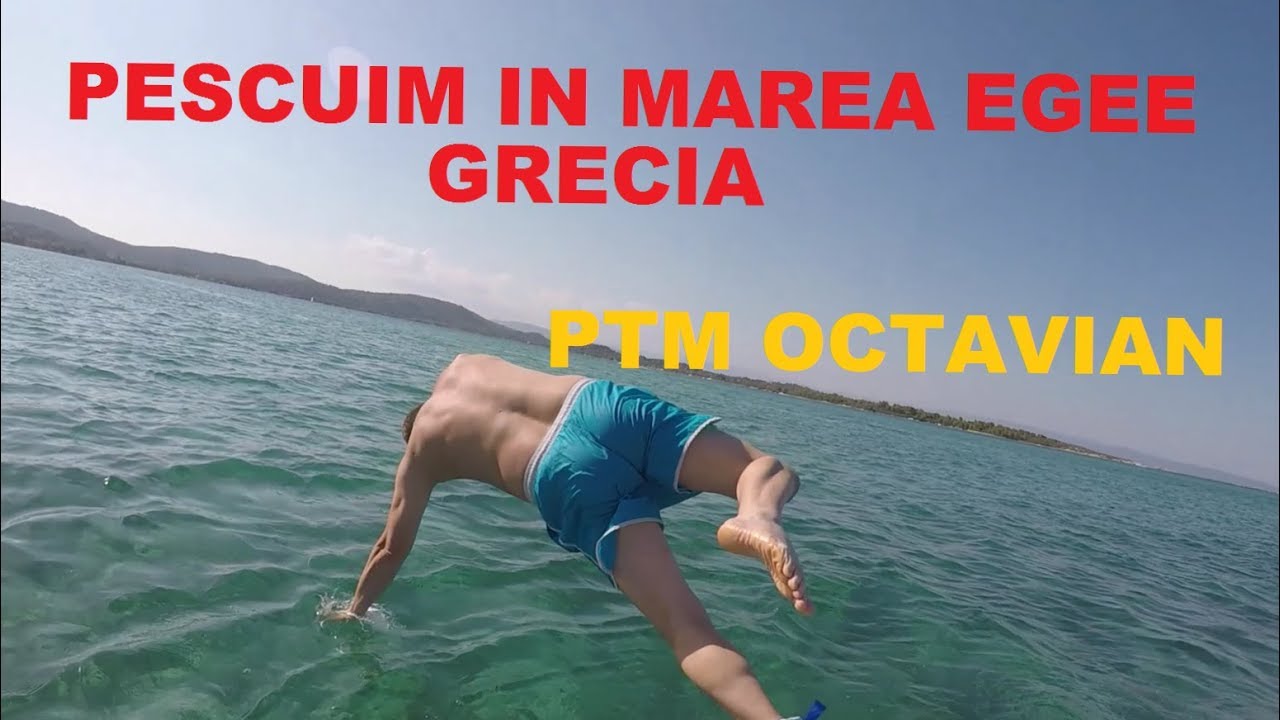 Pescuim In Marea Egee