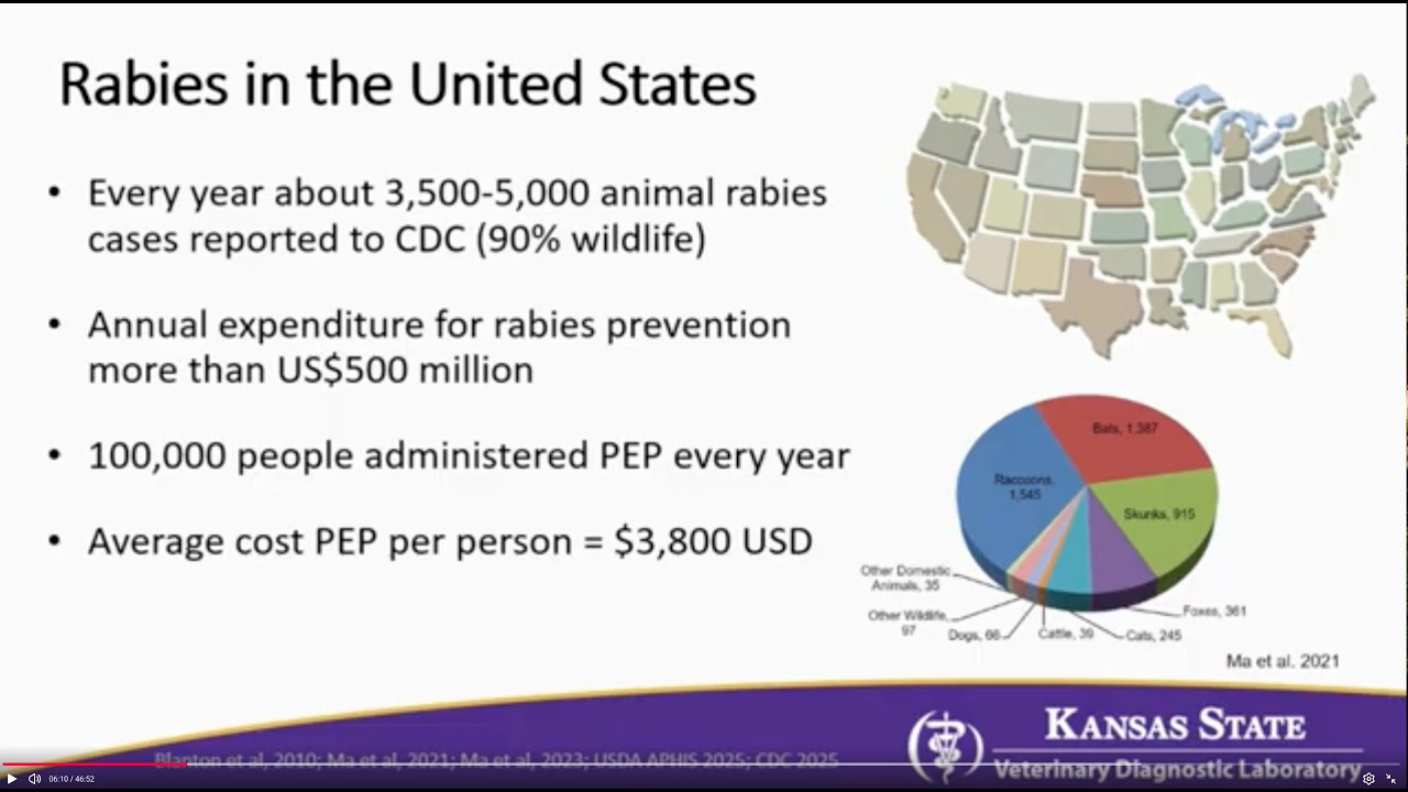 Rabies Across Species: Shared Risks and Responsibilities