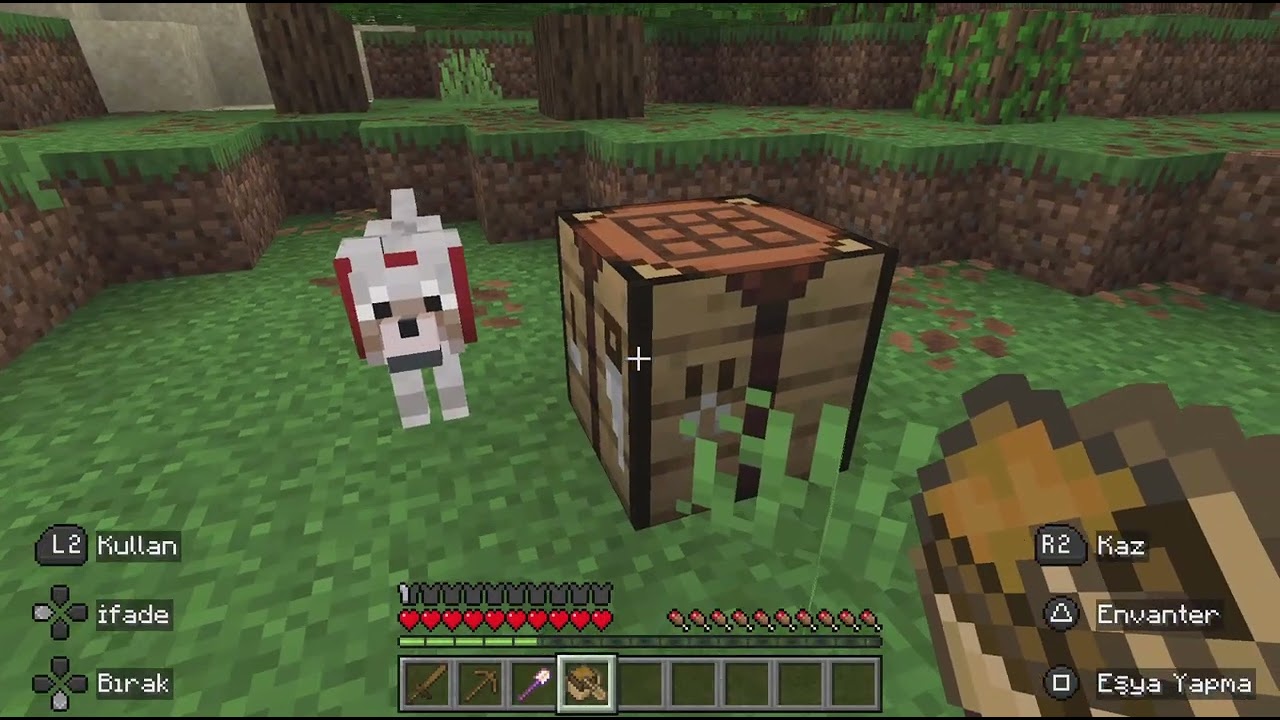 Bölümlü Minecraft'ıbitirdim part 1
