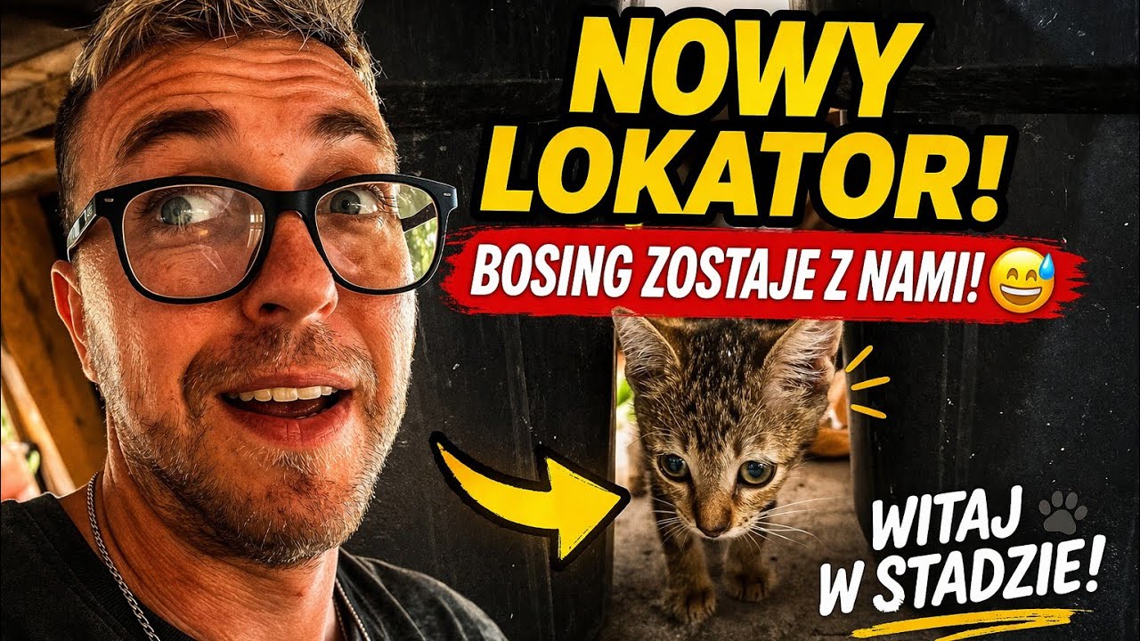 Filipiny - Nowy lokator 😅 Poznajcie Bosinga🐱 