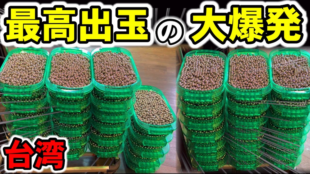 【台湾】人生で最高記録の出玉！10万発超えの大爆発した超絶神回！［パチンコ・スロット実践］［昭和レトロ］