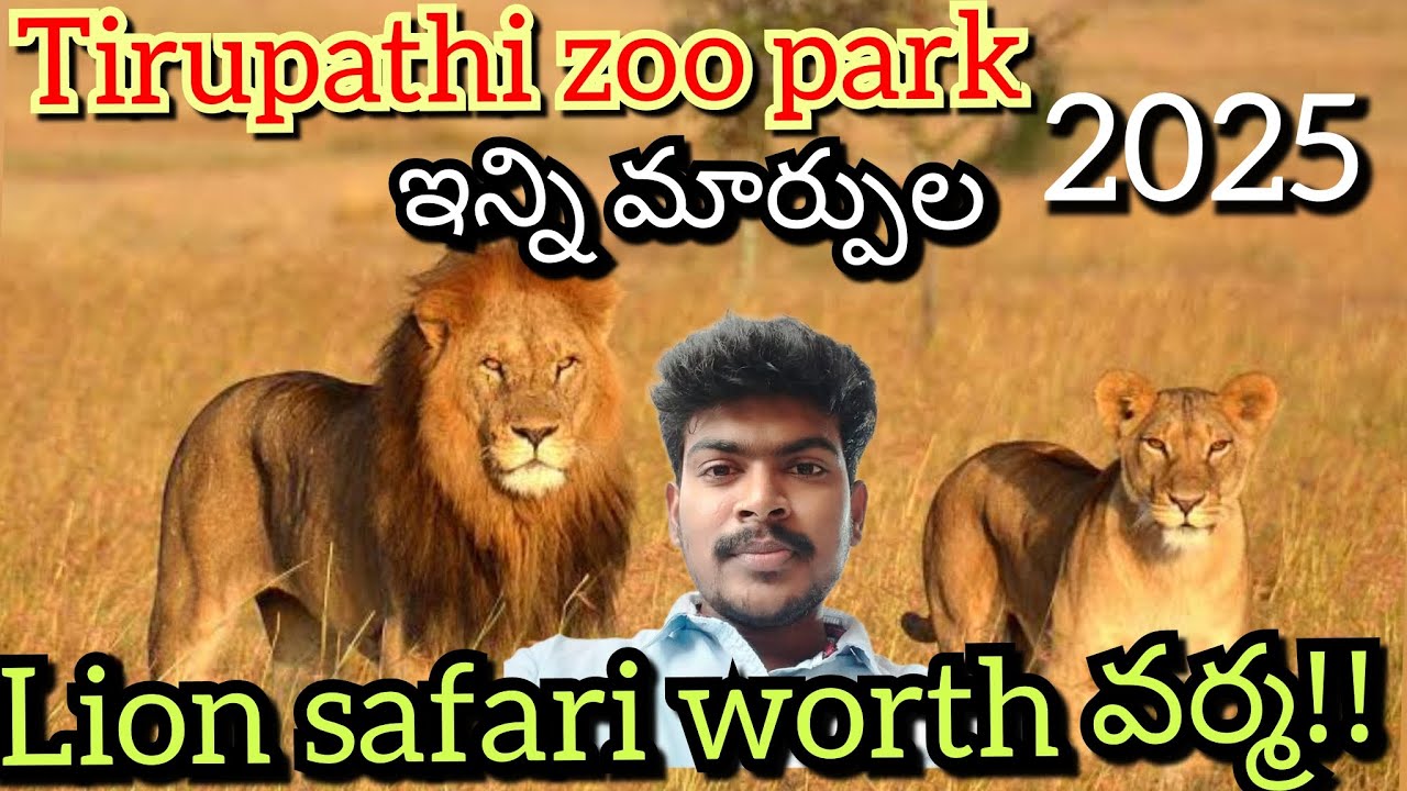 Tirupathi zoo parkలో ఇన్ని మార్పులా!! 2025 || lion Safari worth వర్మ