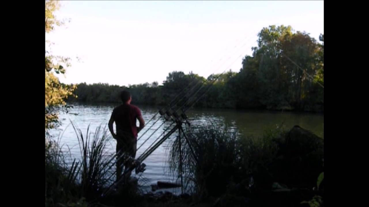 Carpe sur la rivière Oise, [ pêche rapide au spot ]