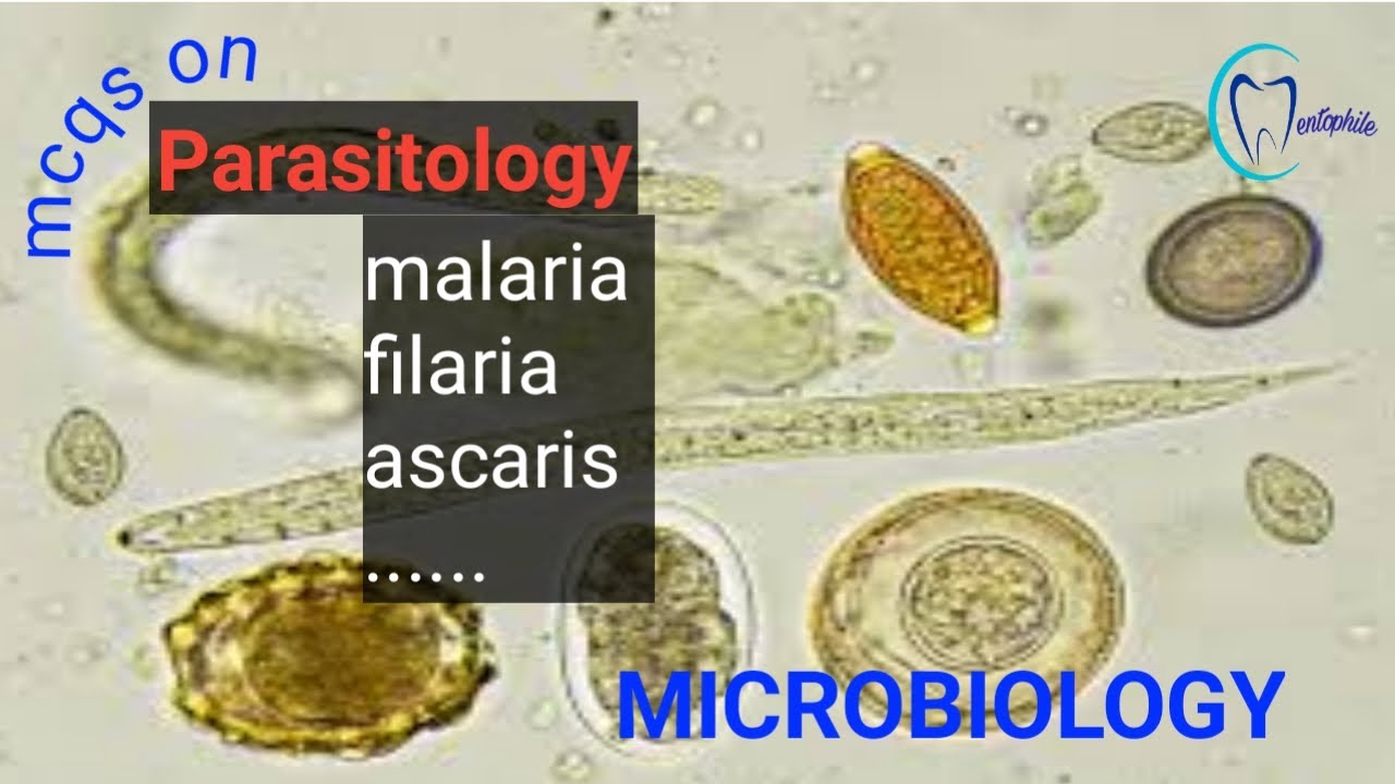 MCQs on Parasitology || Basic Science || Microbiology || Dentophile