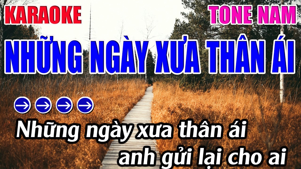 Những Ngày Xưa Thân Ái Karaoke Tone Nam Karaoke 9999 - Beat Mới