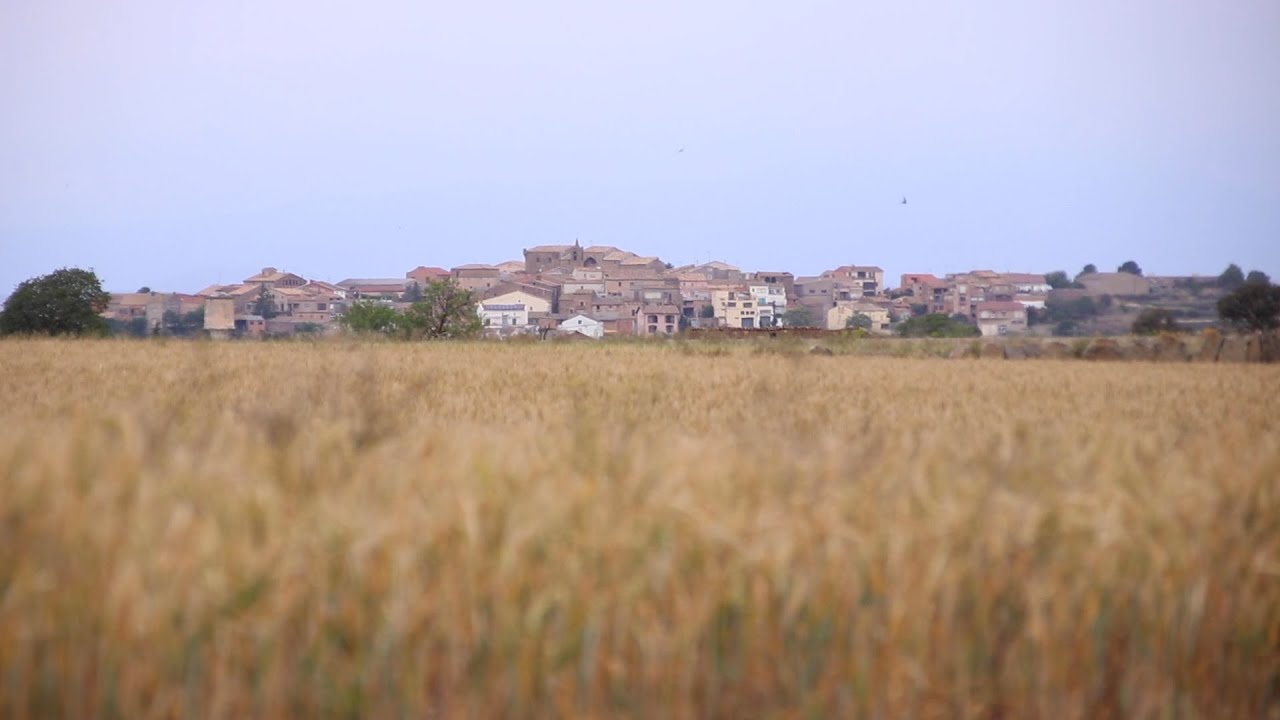 CAMINANT PER CATALUNYA - Les Pallargues
