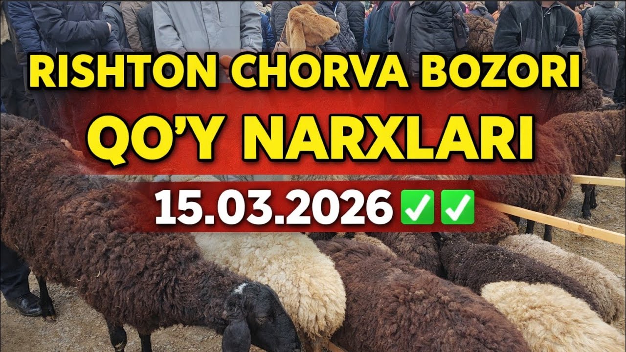 RISHTON CHORVA BOZORI QOʻY NARXLARI 15.03.2026✅️✅️✅️✅️