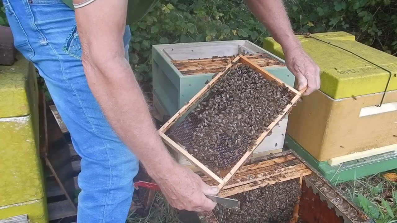 verdwenen broednest in warmbouw-spaarkast