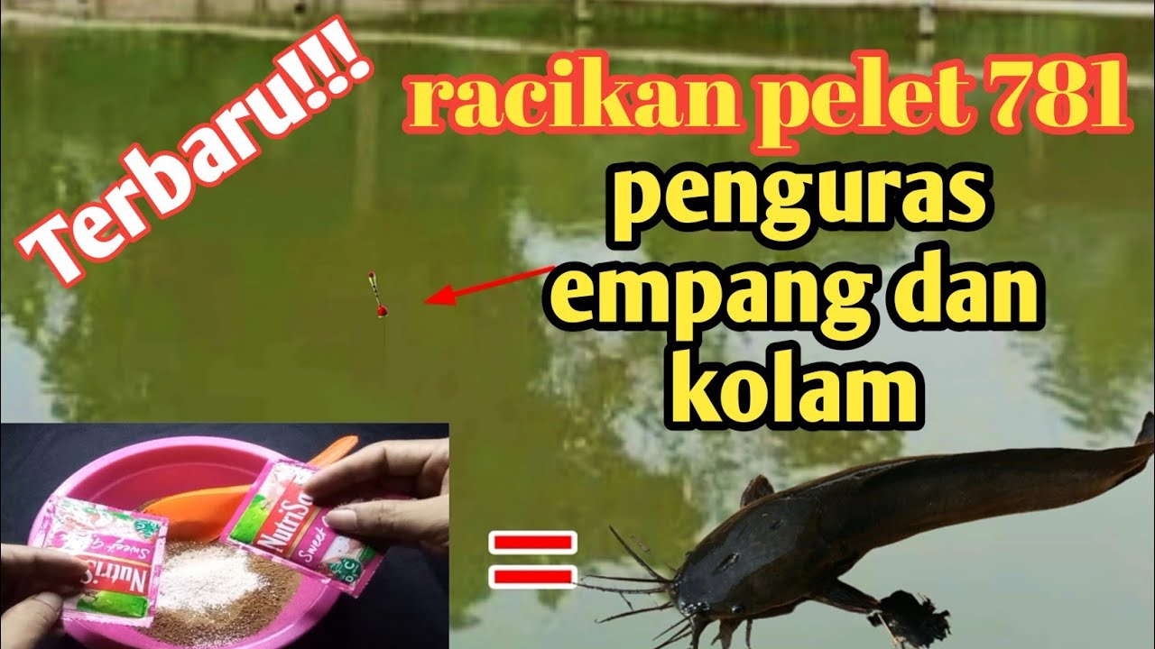 Bikin tangan pegel‼️racikan terbaru pelet 781 umpan lele paling jitu penguras empang dan kolam