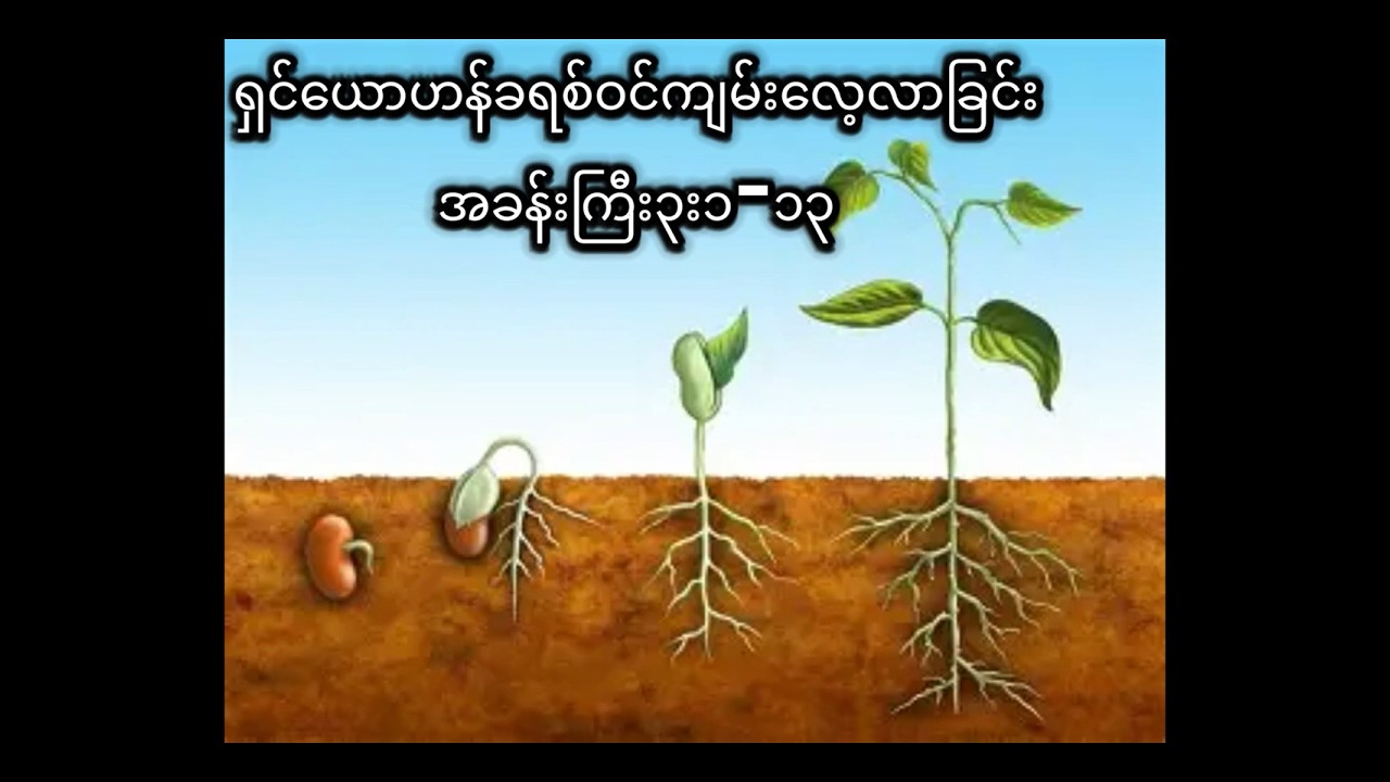 ရှင်ယောဟန်ခရစ်ဝင်ကျမ်း ( ၃း၁-၁၃ )