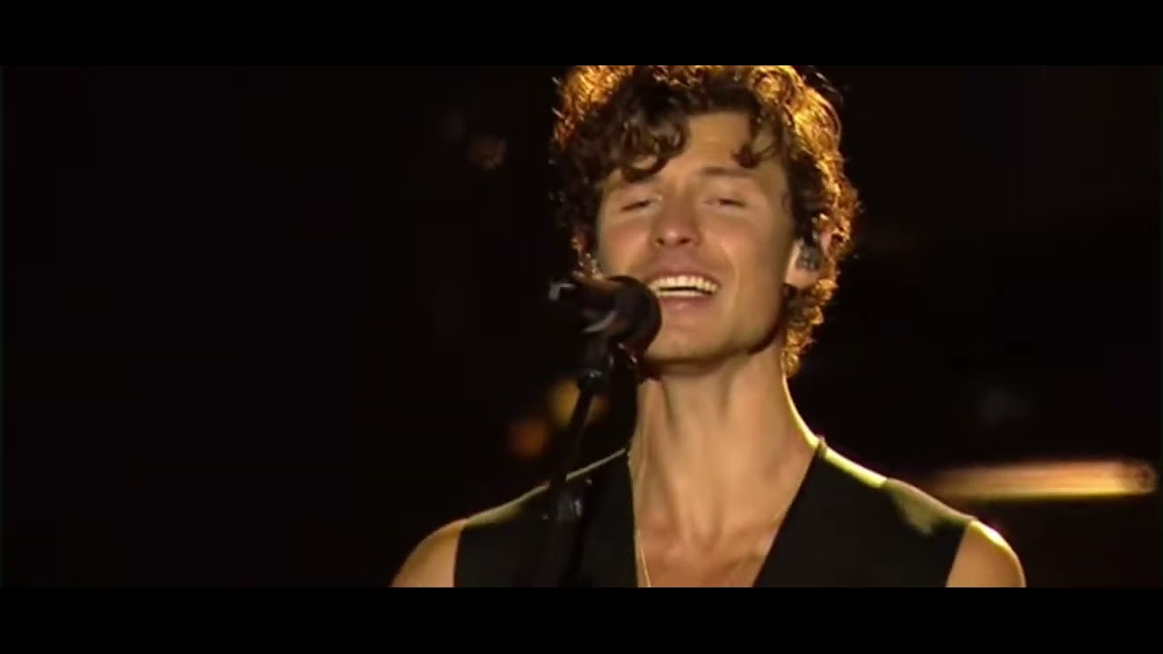 Shawn Mendes - Stitches - Estéreo Picnic 2025, Bogotá