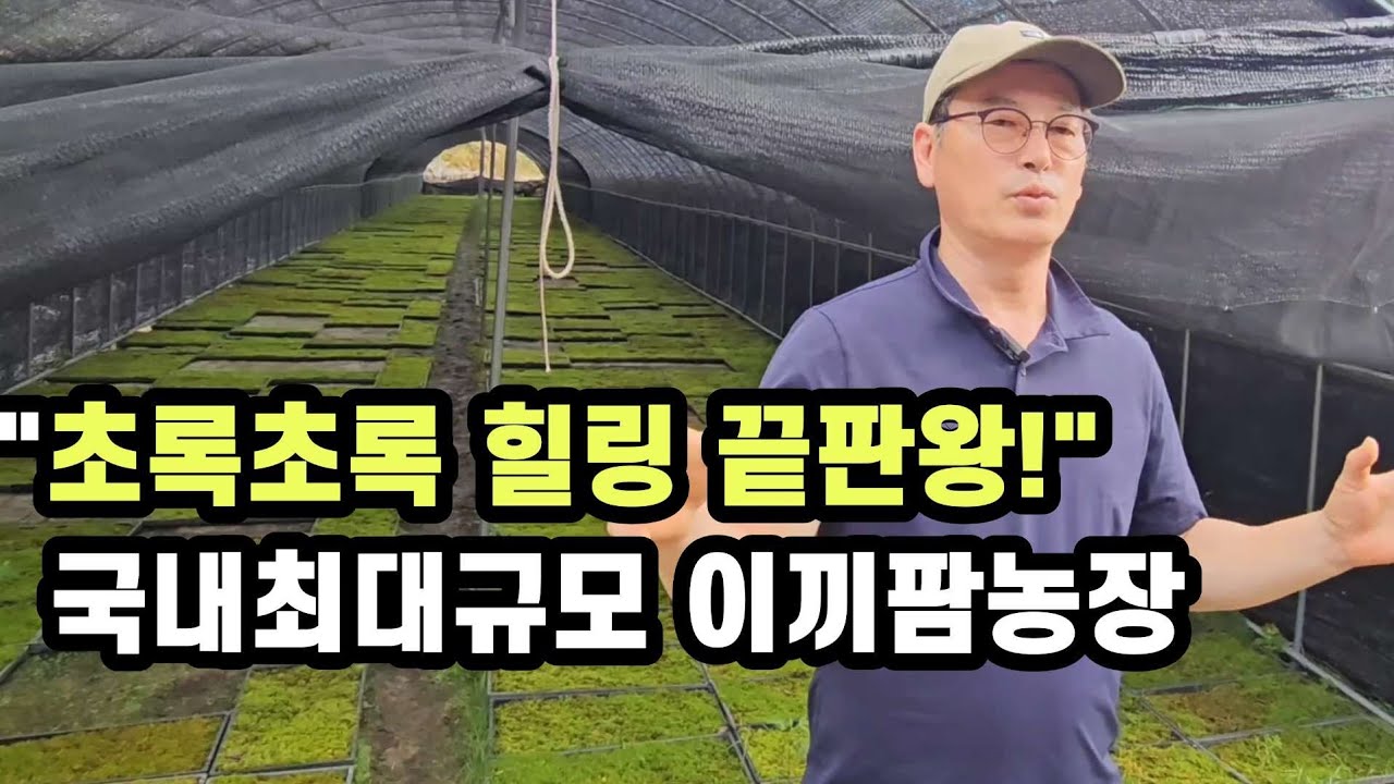 &ldquo;국내 최대 이끼농장에 가봤습니다! &lsquo;이끼팜&rsquo;의 놀라운 이끼 비밀 공개🌿&rdquo;