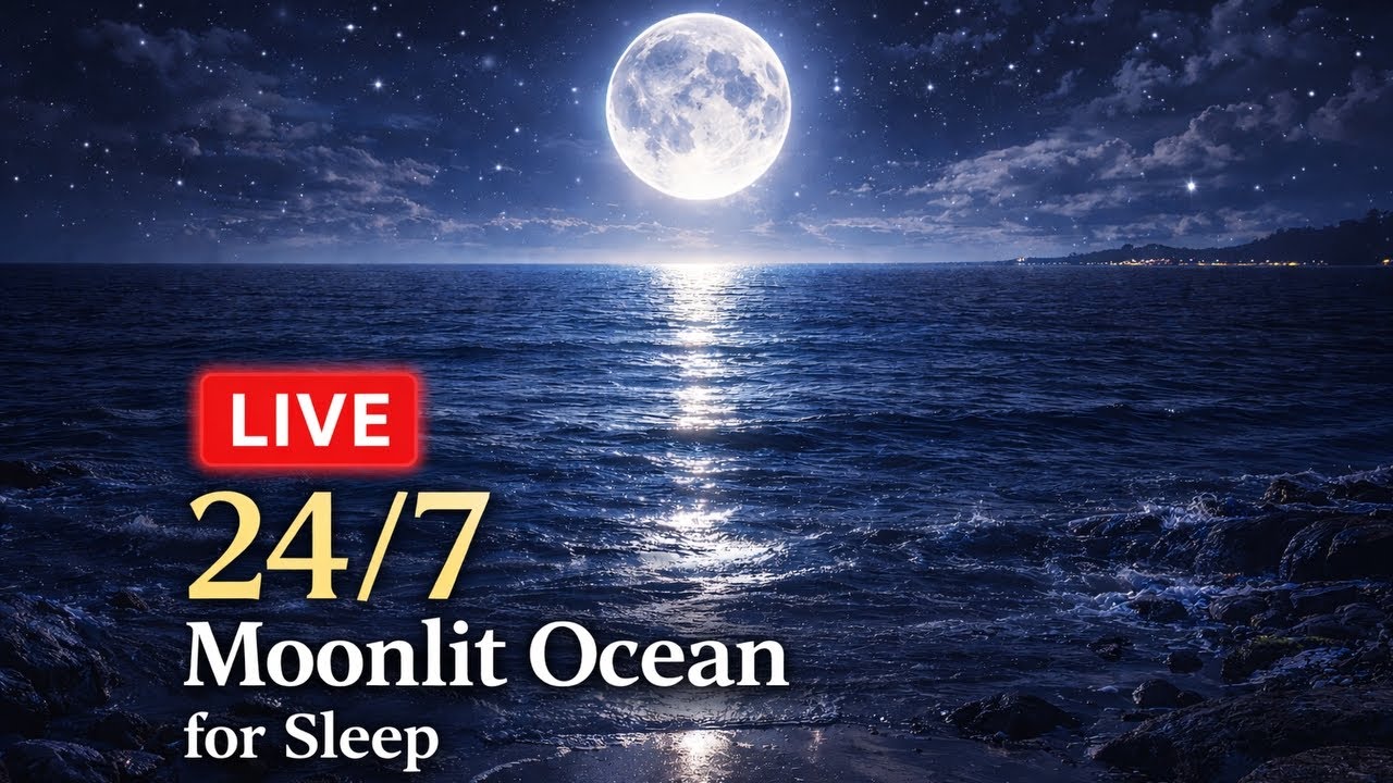 Moonlit Ocean Waves 🌙 Sleep Sounds Live | Dreamlike Night Sea (24/7)