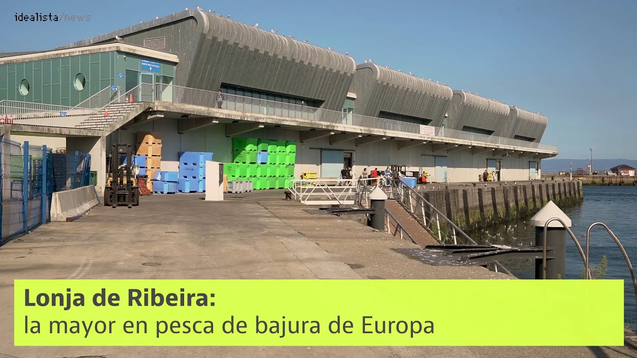 Así funciona una lonja de pescado