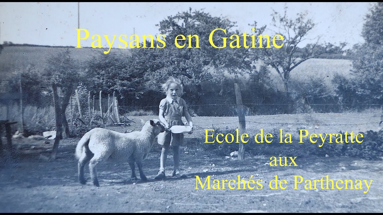 N&deg; 11 Ecole de la Peyratte  aux march&eacute;s de Parthenay 1957 &agrave; 1959