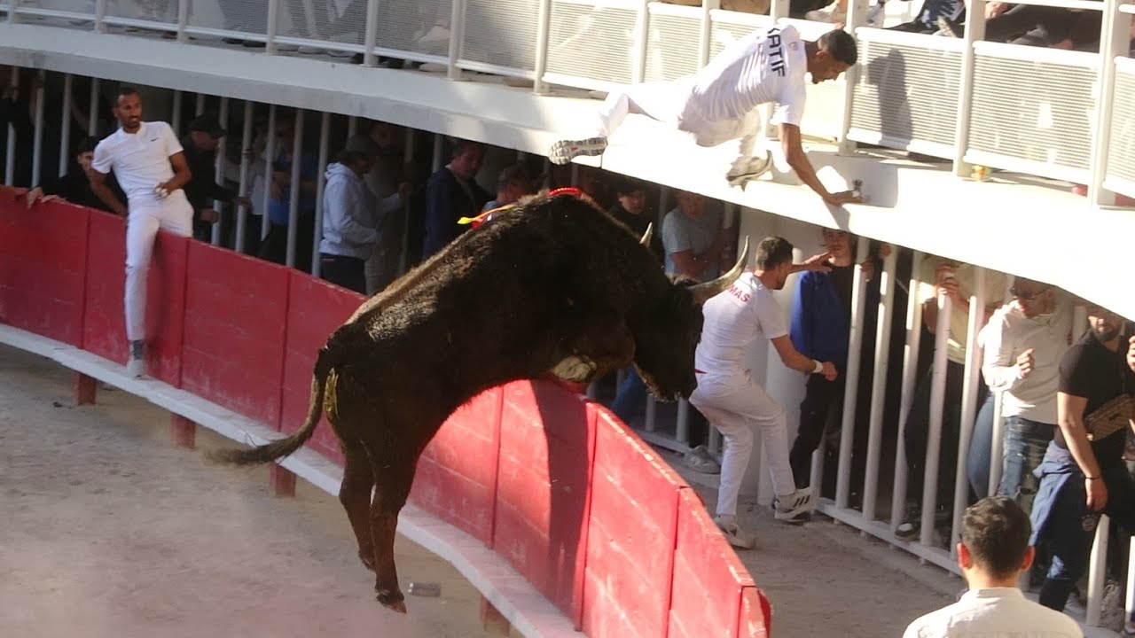 LUNEL COURSE - AS - ROYAL MANADE MEJANES 24/03/24