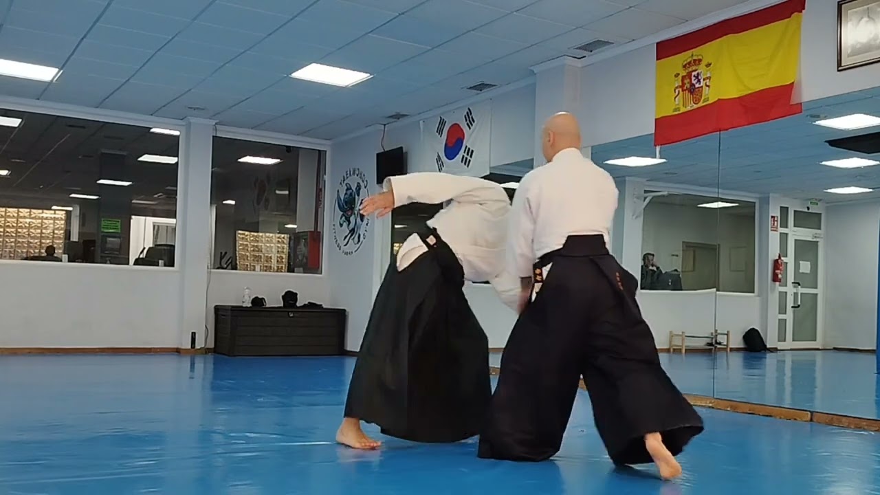 Aikido Sevilleja. Semana del 12 al 16 de Diciembre 2022. Yokomen Uchi.