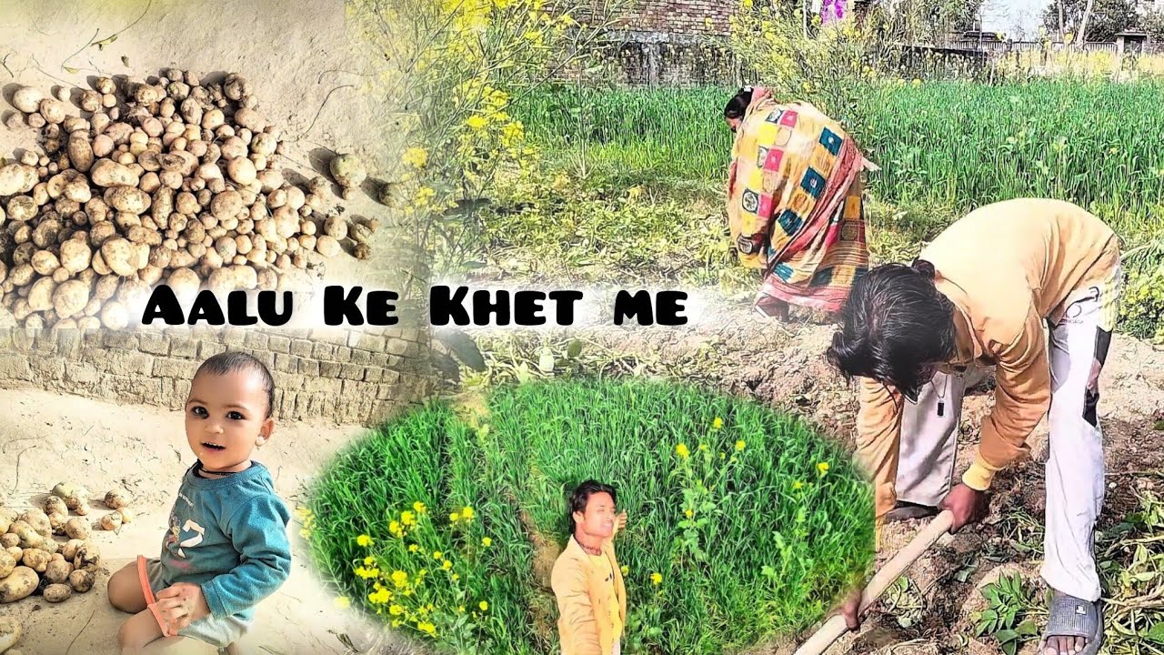 Aaj Aalu Nikalna Hai 😇