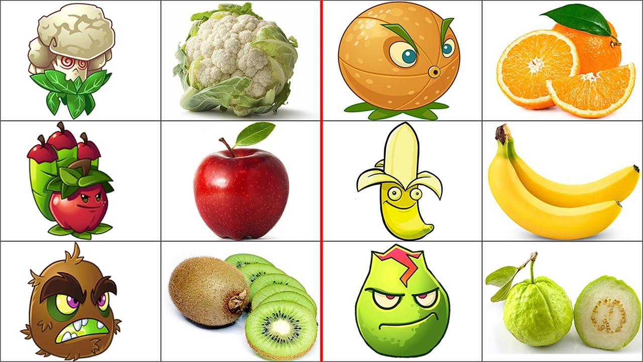 Plants vs Zombies 2 Plants In Real Life!