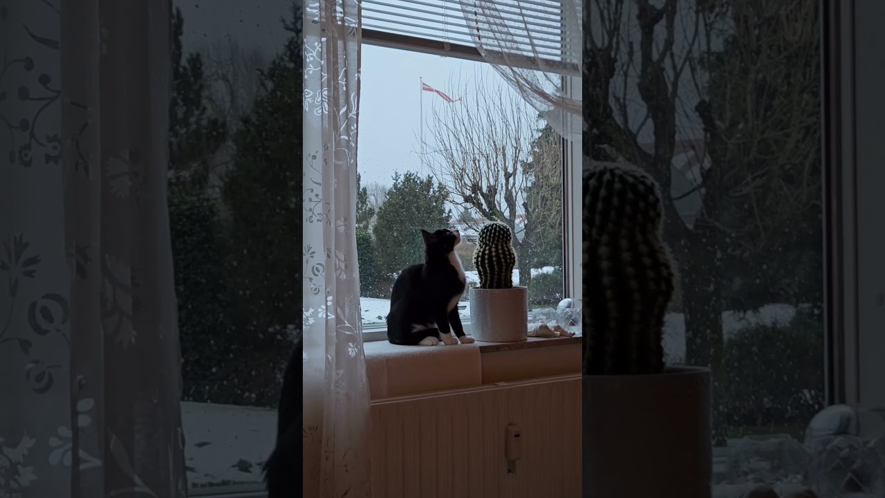 Vinter i Danmark