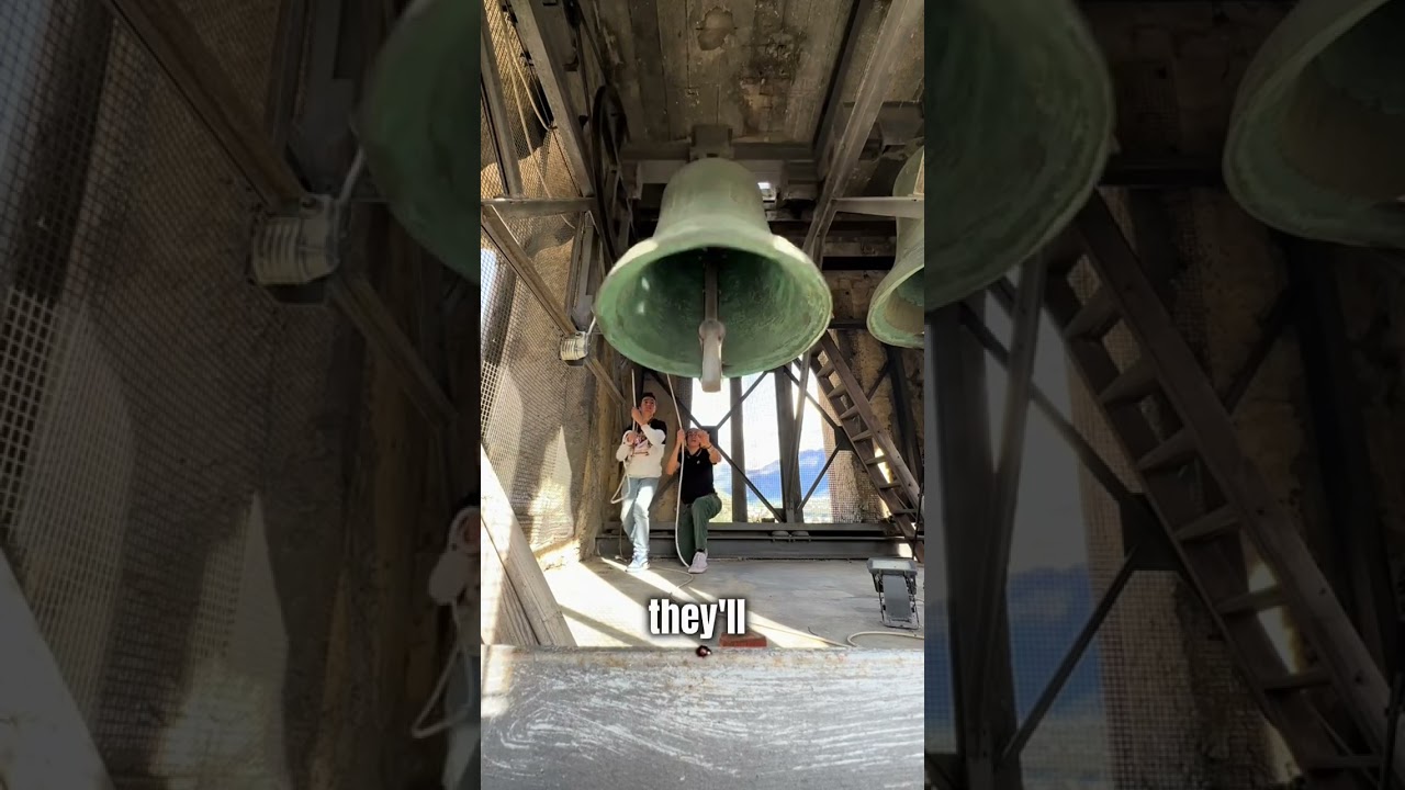 This Jobs Looks Crazy (@Campanaro_Livignasco )