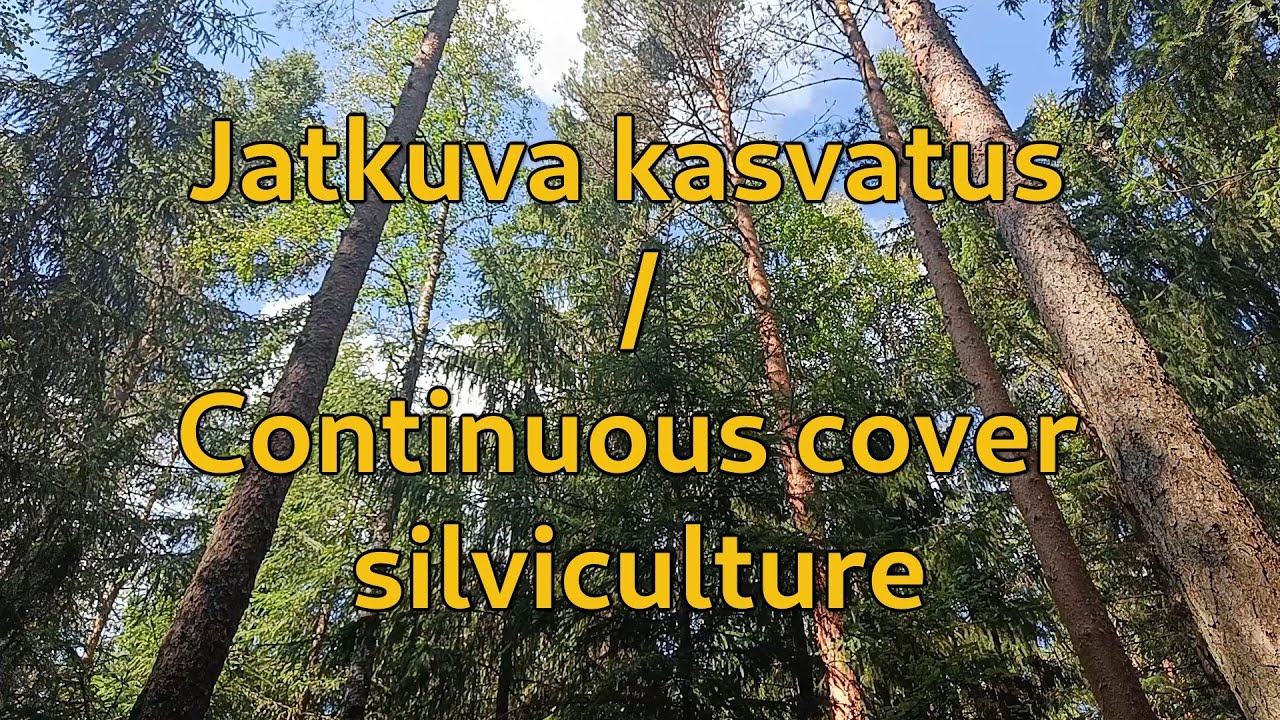 Jatkuva kasvatus, ennen hakkuuta, osa 1. | Continuous cover silviculture, part 1